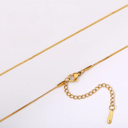 Chain Collection