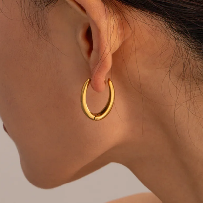 Sculptured Contour Earrings