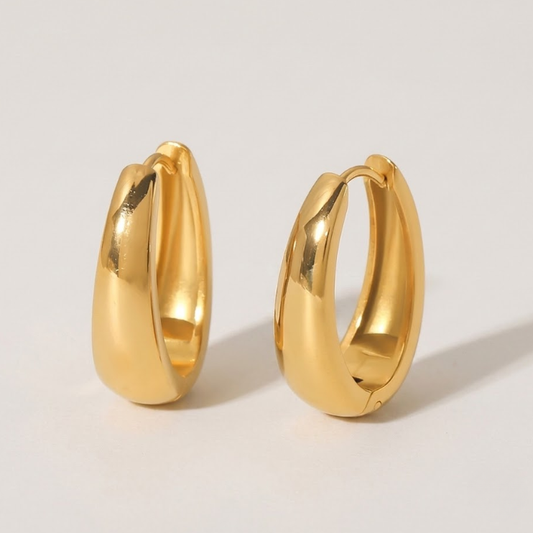 Sculptured Contour Earrings